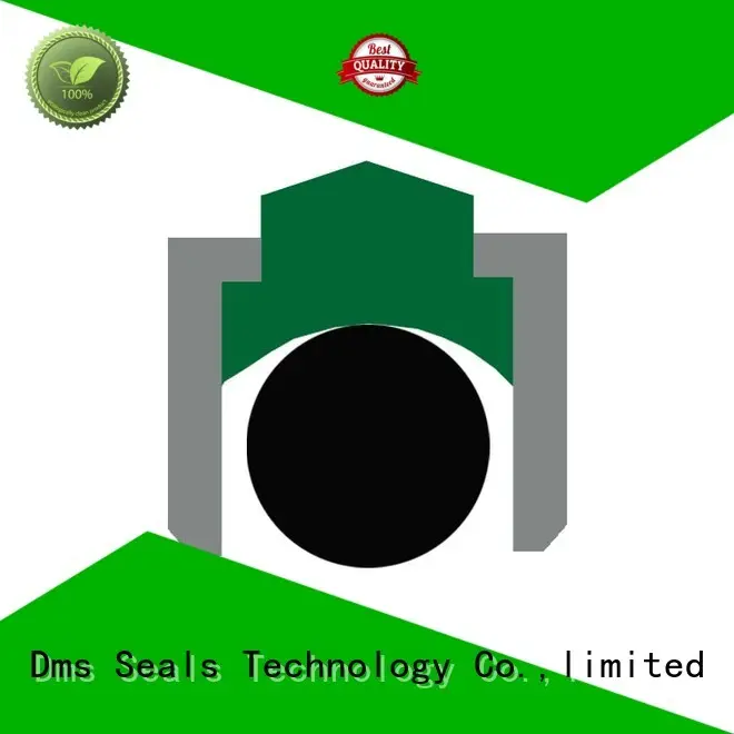 DMS Seal Manufacturer high speed shaft seal manufacturers for construction machinery 1