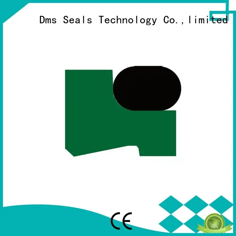 DMS Seal Manufacturer packing rod seals with nbr or fkm o ring for forklifts 1