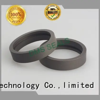 DMS Seal Manufacturer High-quality tapered roller bearing manufacturers factory for sale 1