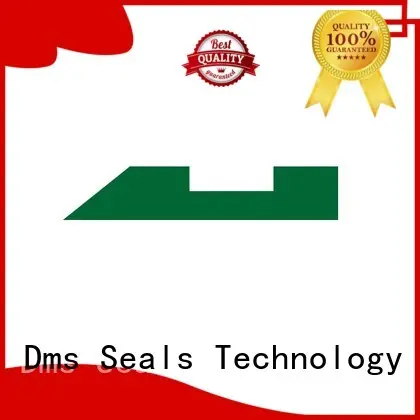 DMS Seal Manufacturer High-quality radial needle bearing factory for sale 1