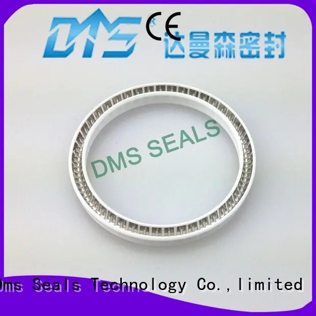 DMS Seal Manufacturer Custom mechanical shaft seals springs for aviation 1
