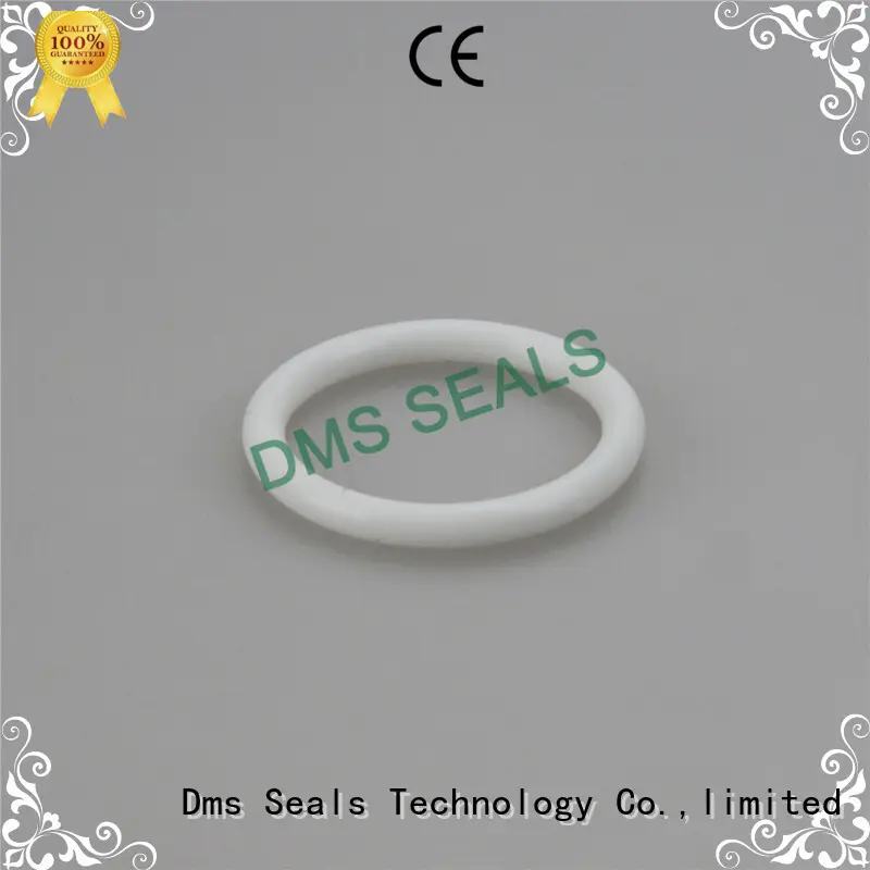 Latest very small o rings for business in highly aggressive chemical processing 1