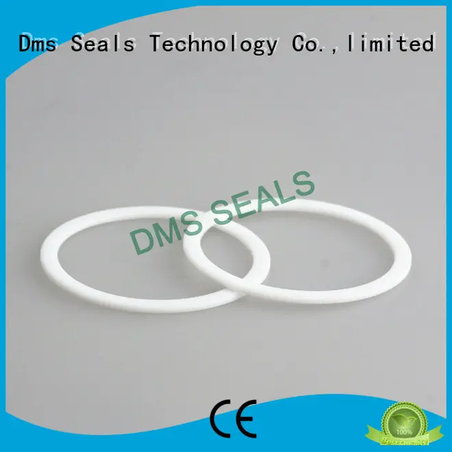 ptfe door gasket manufacturers torque for preventing the seal from being squeezed 1