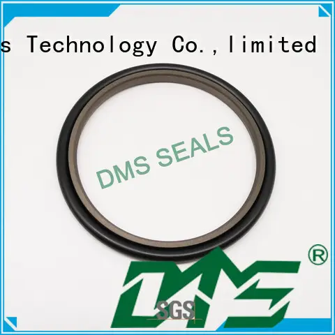 DMS Seal Manufacturer hot sale floating seal manufacturers supplier for piston and hydraulic cylinder 1