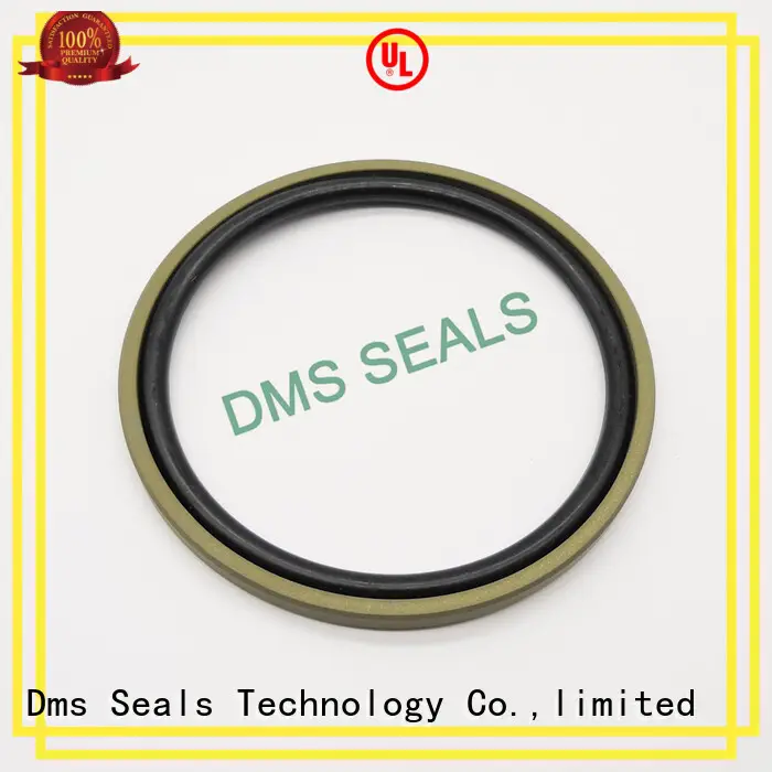 DMS Seal Manufacturer best mechanical seal operation supplier for larger piston clearance 1
