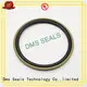 DMS Seal Manufacturer best mechanical seal operation supplier for larger piston clearance 1
