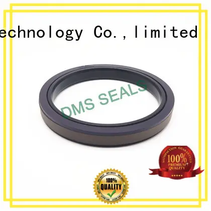 compact rubber seal molding wholesale for larger piston clearance 1