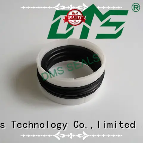 DMS Seal Manufacturer custom hydraulic seals companies glyd ring for larger piston clearance 1