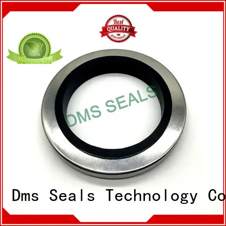DMS Seal Manufacturer cr seal dimensions with a rubber coating for housing 1