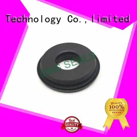 DMS Seal Manufacturer custom mechanical seal buyer o ring for larger piston clearance 1