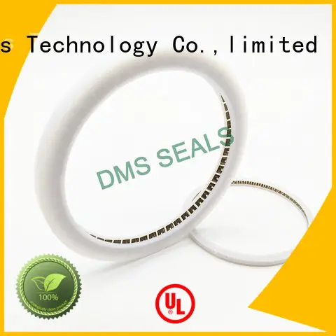 DMS Seal Manufacturer New spring loaded seal Supply for aviation 1