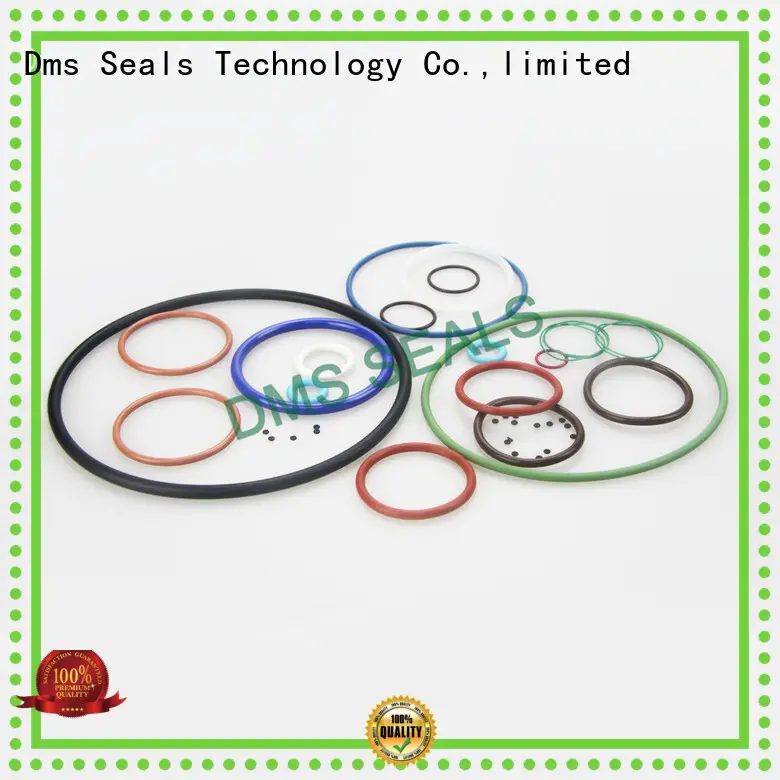 DMS Seal Manufacturer High-quality viton rubber o rings factory in highly aggressive chemical processing 1