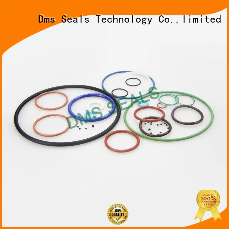 DMS Seal Manufacturer hydraulic o ring material manufacturers in highly aggressive chemical processing 1