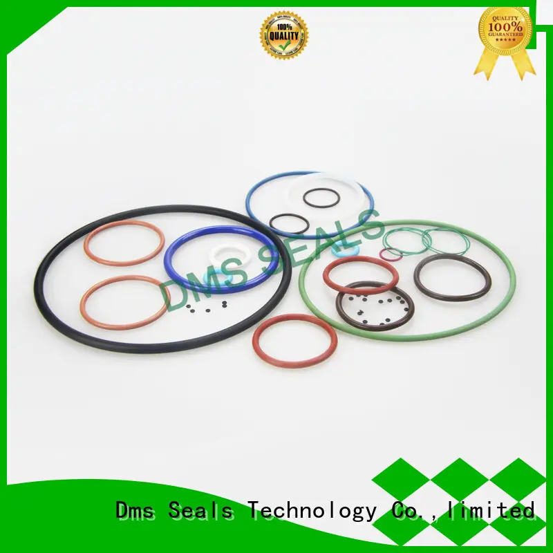 DMS Seal Manufacturer Best o ring gasket suppliers for static sealing 1