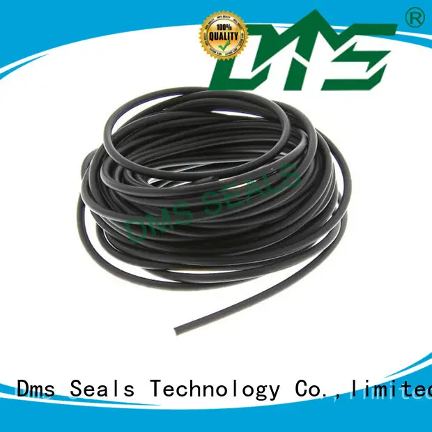 DMS Seal Manufacturer transparent o ring for business for sale 1