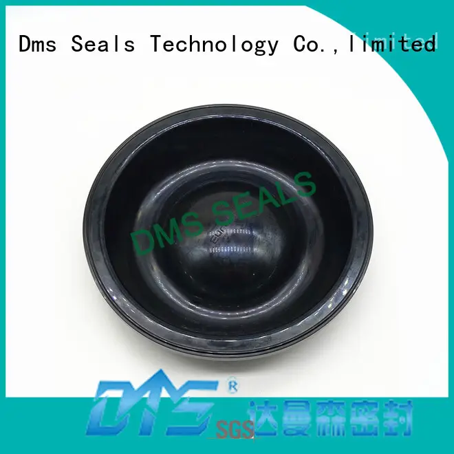 DMS Seal Manufacturer rubber door trim seal manufacturers for leakage gap 1