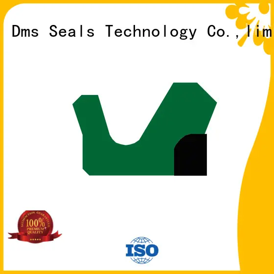 DMS Seal Manufacturer hydraulic packing and seals for sale 1