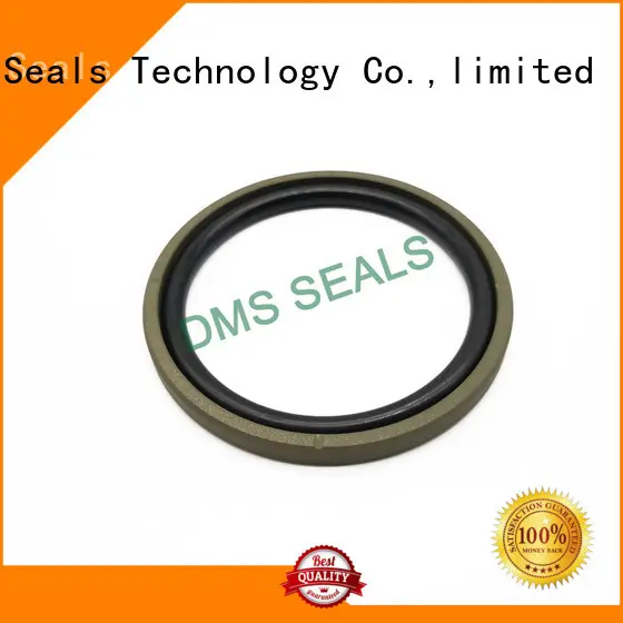 DMS Seal Manufacturer rod seals or piston seal for business for light and medium hydraulic systems 1
