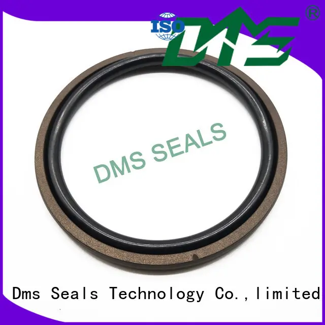 DMS Seal Manufacturer hydraulic piston seals for pneumatic equipment 1