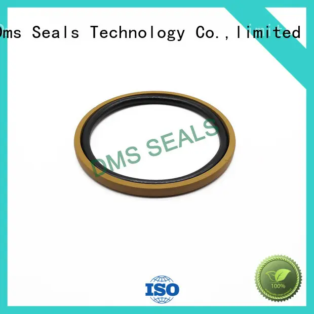 DMS Seal Manufacturer High-quality hydraulic press seals factory for pneumatic equipment 1