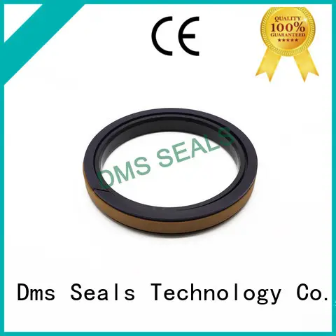 DMS Seal Manufacturer Wholesale molded seals for business for pneumatic equipment 1
