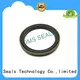 DMS Seal Manufacturer high quality r21 oil seal with integrated spring for housing 1