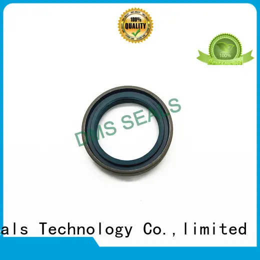 DMS Seal Manufacturer oil seal definition with integrated spring for housing 1
