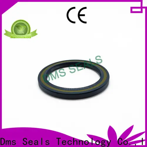 DMS Seal Manufacturer primary oil seal hydraulic with integrated spring for low and high viscosity fluids sealing 1