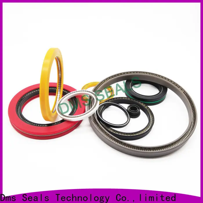 DMS Seal Manufacturer Best shaft seals for dynamic applications Supply for reciprocating piston rod or piston single acting seal 1