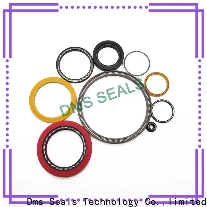 DMS Seal Manufacturer garter spring seal manufacturers for reciprocating piston rod or piston single acting seal 1