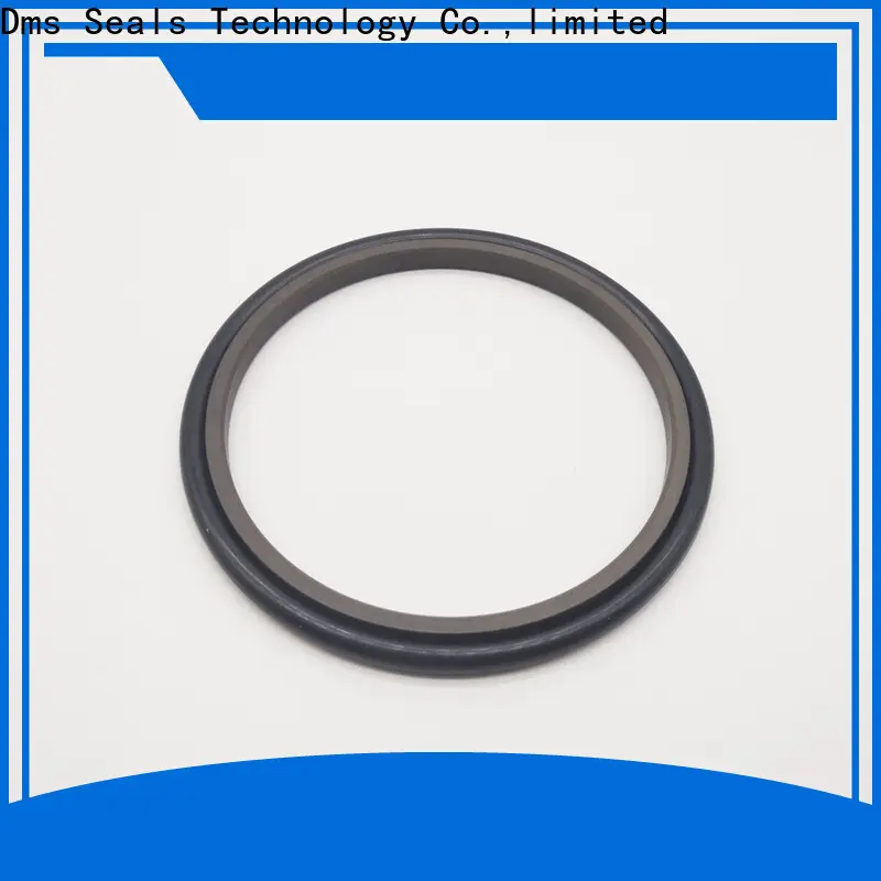 DMS Seal Manufacturer split oil seals suppliers wholesale for piston and hydraulic cylinder 1