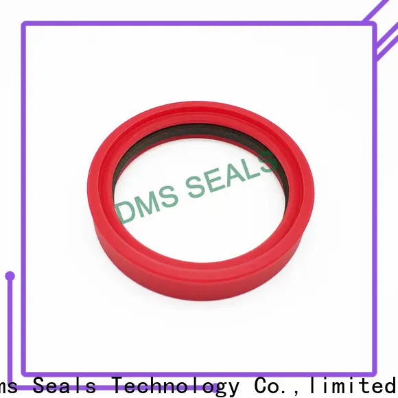 DMS Seal Manufacturer epdm seals suppliers o ring 1