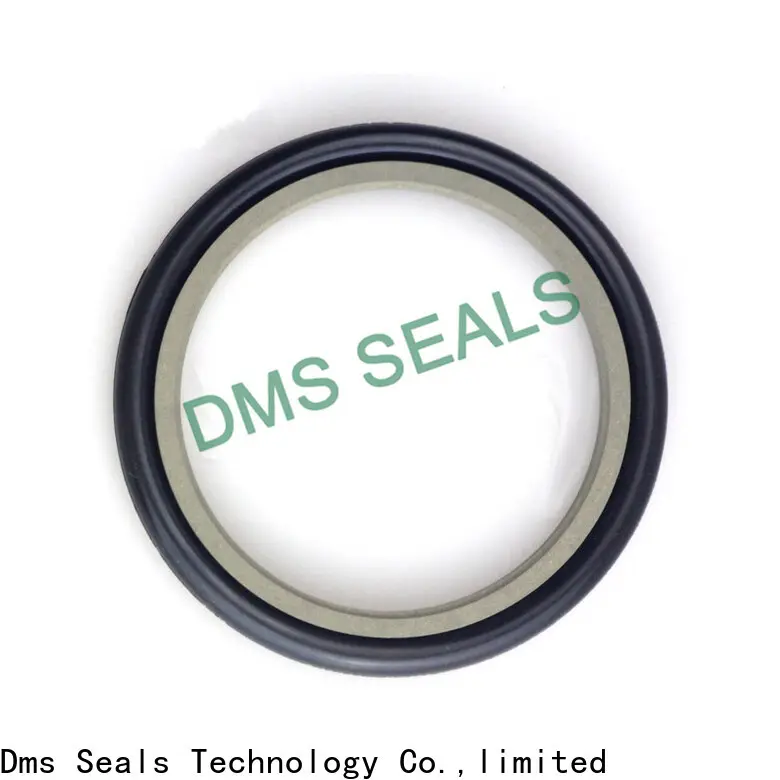 DMS Seal Manufacturer ptfe rubber seal strip suppliers o ring for larger piston clearance 1