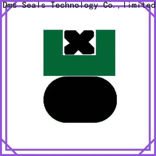 DMS Seal Manufacturer piston rod seals hydraulic for light and medium hydraulic systems 1