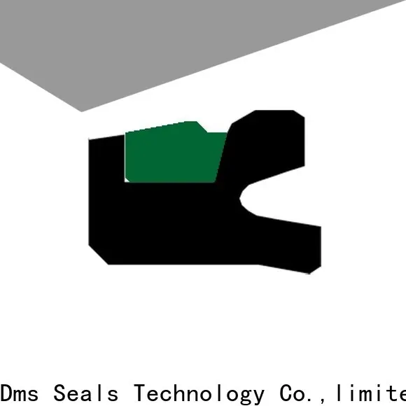 High-quality hydraulic u seal glyd ring for sale 1