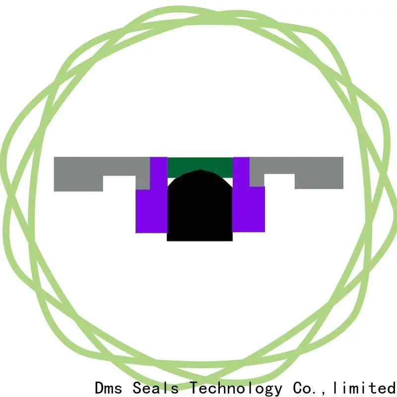 Best hyd seal with ptfe nbr and pom for light and medium hydraulic systems 1
