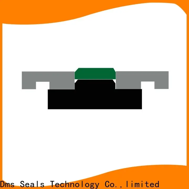 DMS Seal Manufacturer hydraulic cylinder shaft seals for pneumatic equipment 1