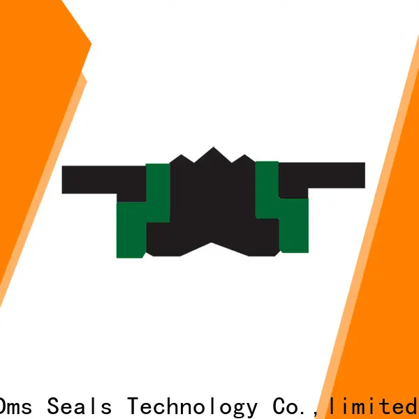 DMS Seal Manufacturer Wholesale double acting piston cup glyd ring for pneumatic equipment 1