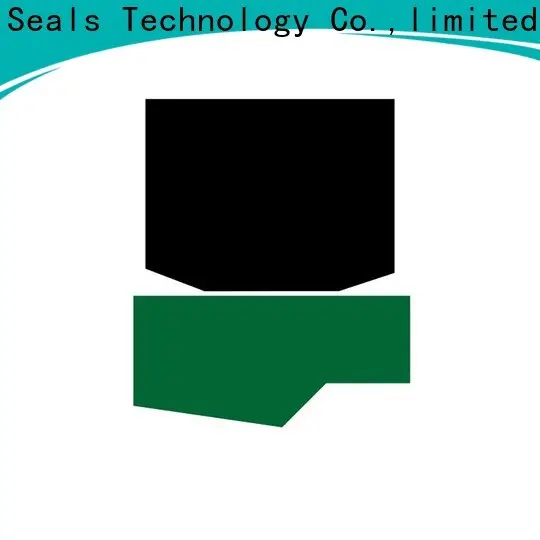 DMS Seal Manufacturer Wholesale rod end seals Suppliers to high and low speed 1
