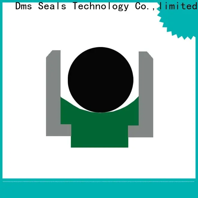 High-quality rod seal catalogue Suppliers to high and low speed 1