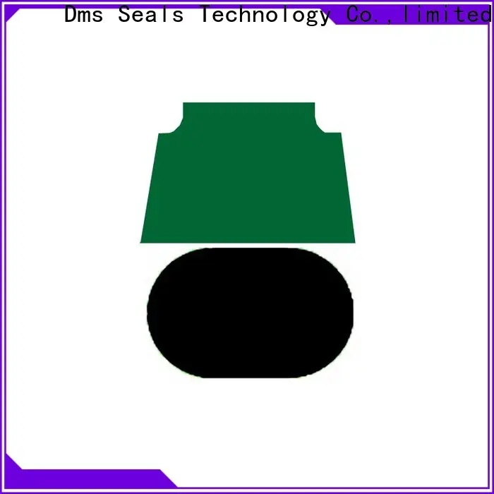 DMS Seal Manufacturer custom oil seals Supply for pneumatic equipment 1