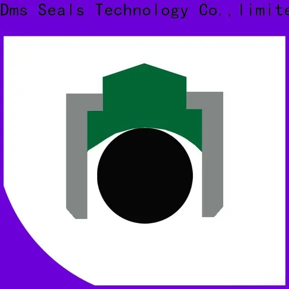 DMS Seal Manufacturer spareage piston seals for automotive equipment 1