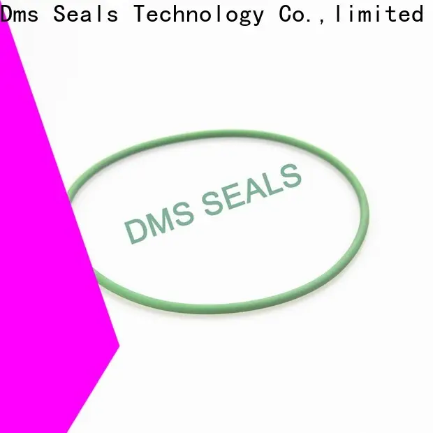 DMS Seal Manufacturer Wholesale square o ring sizes factory in highly aggressive chemical processing 1