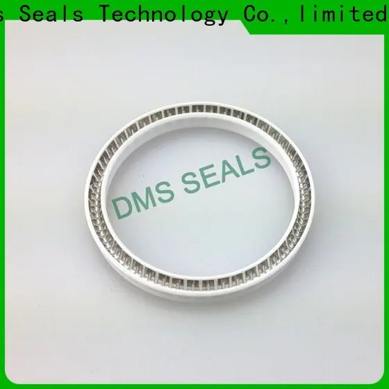 DMS Seal Manufacturer rotating mechanical seal for business for reciprocating piston rod or piston single acting seal 1