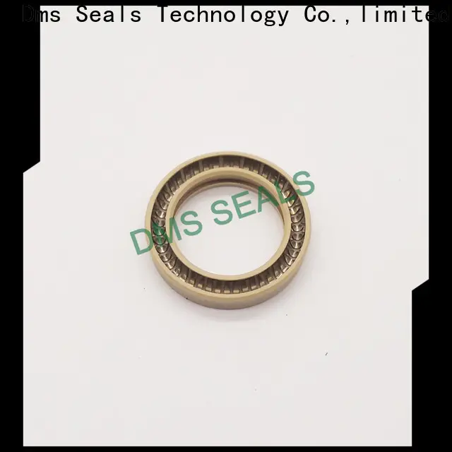 DMS Seal Manufacturer rotary lip seal application Supply for reciprocating piston rod or piston single acting seal 1