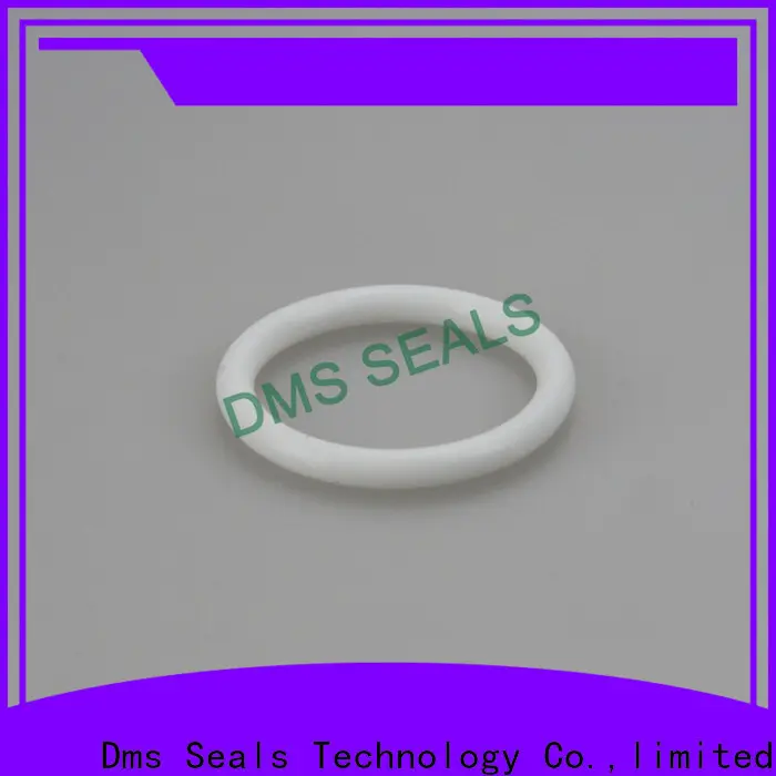 DMS Seal Manufacturer Best 2 inch metal o rings company in highly aggressive chemical processing 1