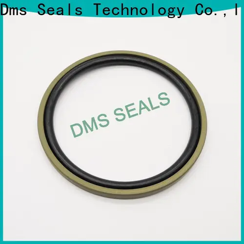 custom seal caps manufacturer supplier for piston and hydraulic cylinder 1