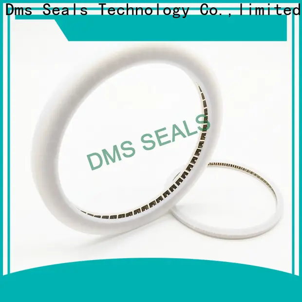 DMS Seal Manufacturer Top shaft seals for dynamic applications manufacturers for reciprocating piston rod or piston single acting seal 1