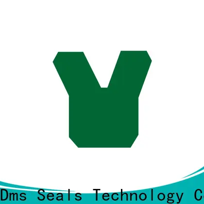 DMS Seal Manufacturer metric wiper seals for pressure work and sliding high speed occasions 1