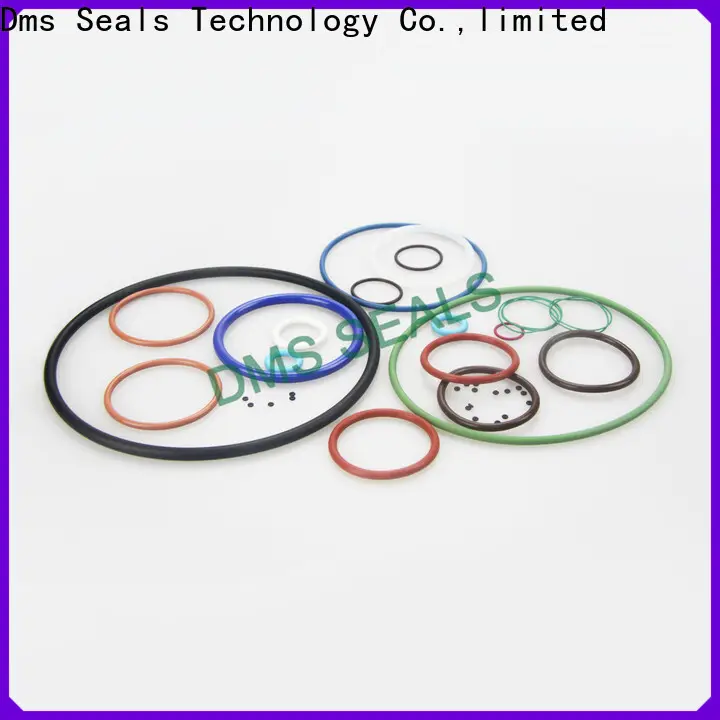 DMS Seal Manufacturer rubber x and o ring factory in highly aggressive chemical processing 1
